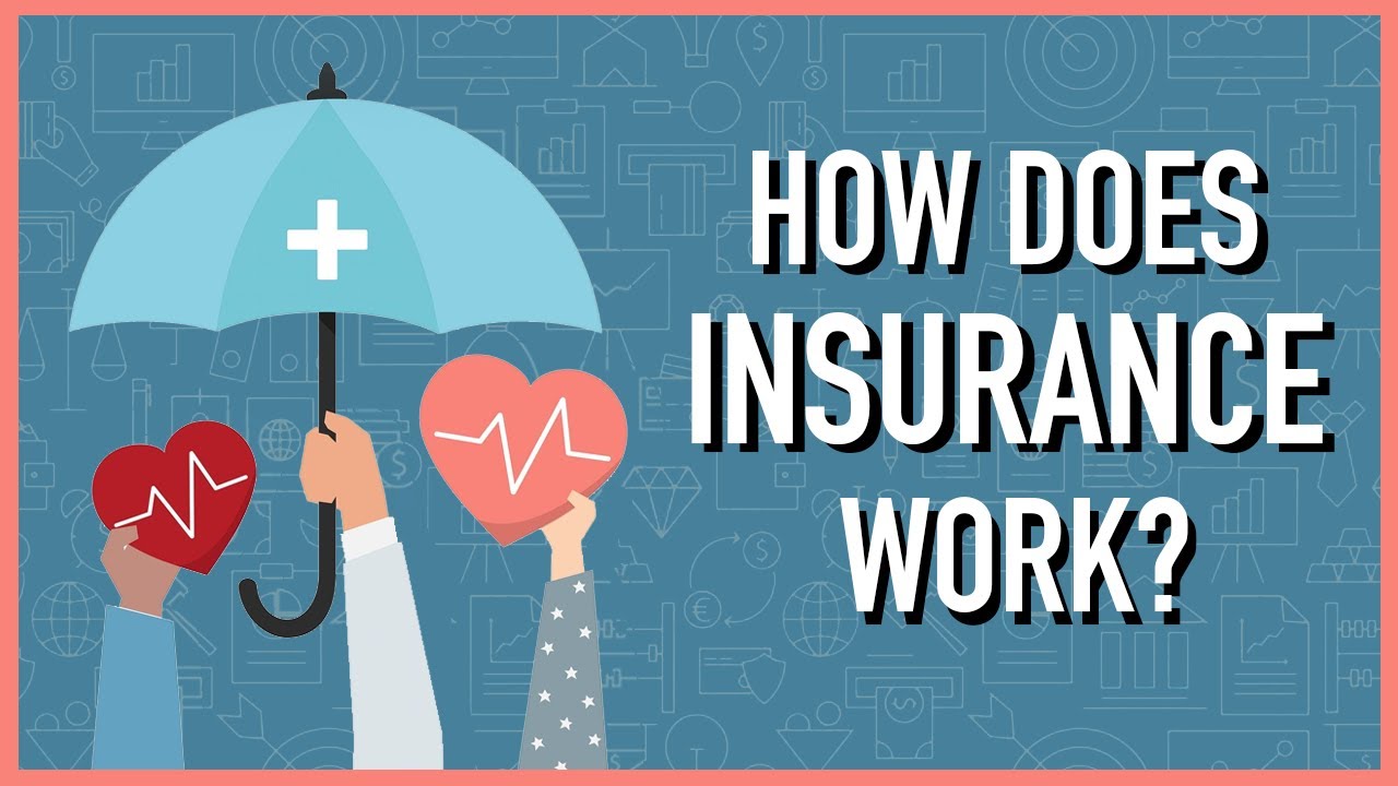 How Does Insurance Work?